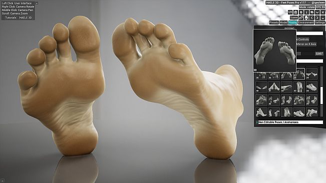 HAELE 3D - Feet Poses Pro - Drawing References