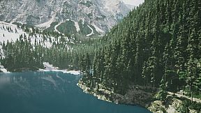 Lushfoil Photography Sim