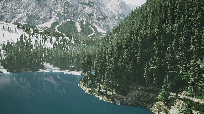 Lushfoil Photography Sim