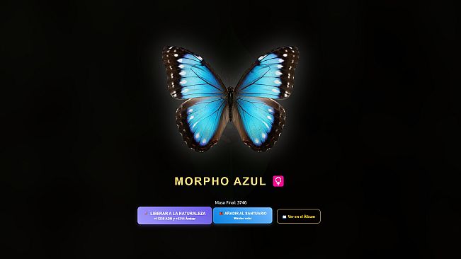 Butterfly Project