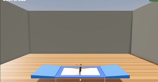 Gymnastics Simulator