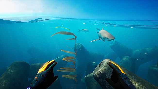 Subside - Makoa Shelf