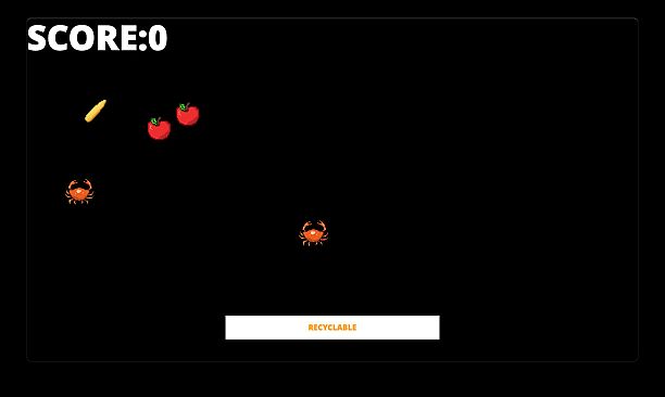 Environment Protection Ambassador