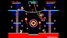 Donut Dodo FANTASTICO