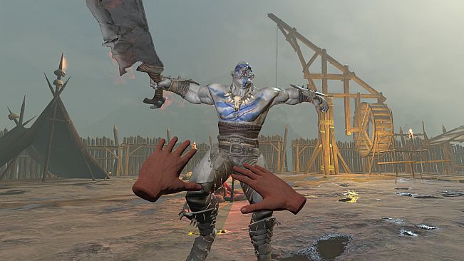 VR Immortal Fight