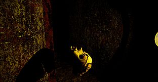The Strange House