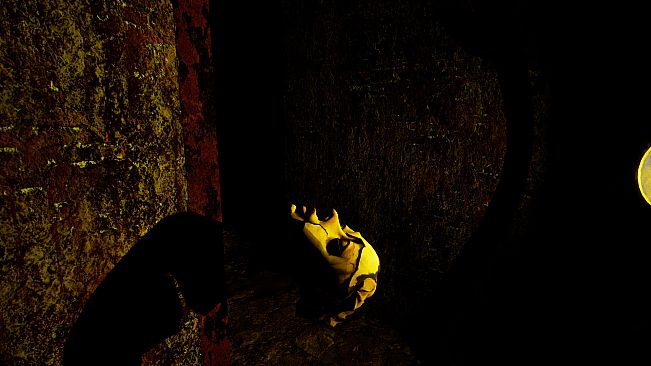 The Strange House