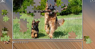 Super Jigsaw Puzzle: Generations - Dogs Puzzles