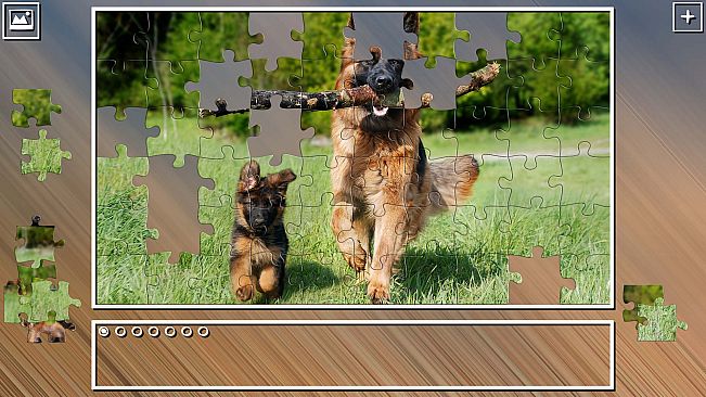 Super Jigsaw Puzzle: Generations - Dogs Puzzles