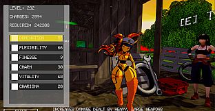 Glitched? or Programmed that Way?