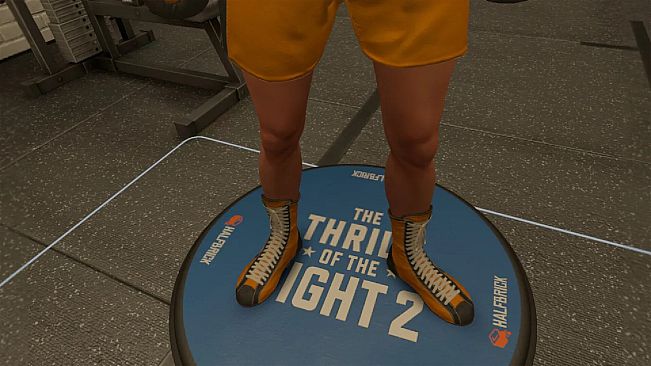 The Thrill Of The Fight 2 - Fitz Gym Original Shoes