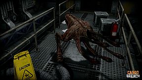 Cargo Breach