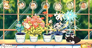 Ivy's Dream Cafe