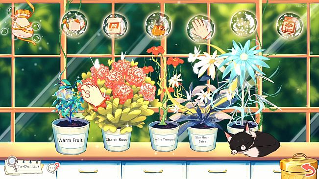 Ivy's Dream Cafe