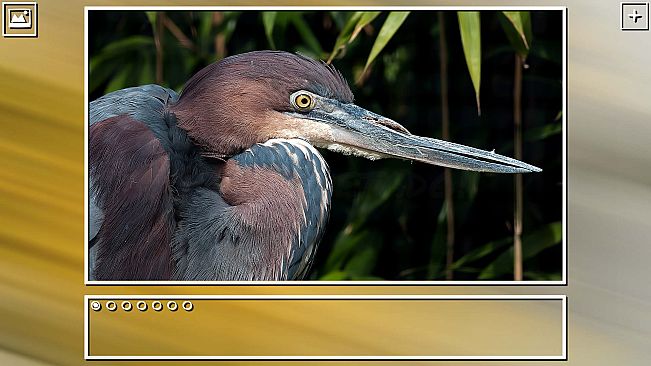 Super Jigsaw Puzzle: Generations - Birds Puzzles