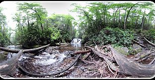 Exhale XR - Healing Vibes