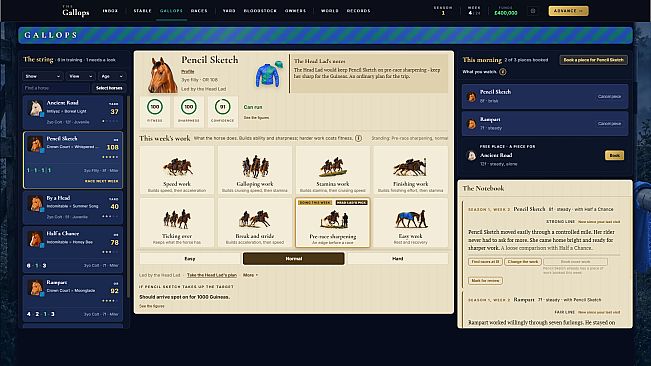 The Gallops: Horse Racing Manager