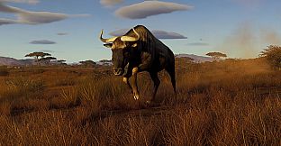 Way of the Hunter - Tikamoon Plains