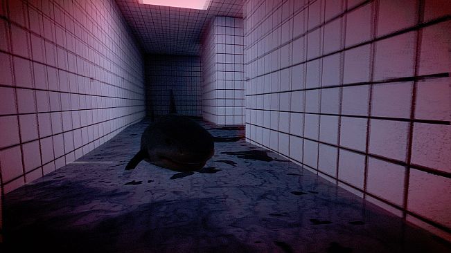 TRALALERO TRALALA BACKROOMS POOLS