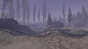 28 Days Train Wreck Survivor