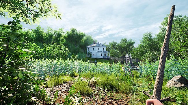 Childhood Simulator: Nettle Slasher
