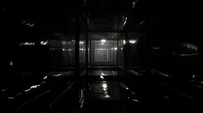 Chester: Into The Darkness