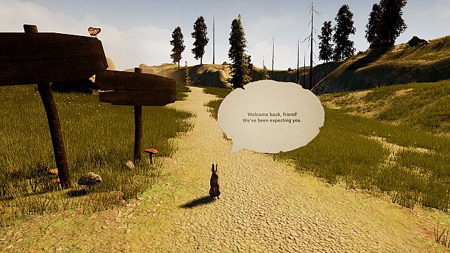 A Rabbit and the Mystic Fog