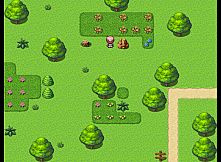 风之界限 the border of wind