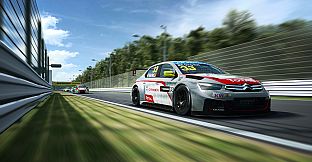 RaceRoom - WTCC 2014 Car Pack