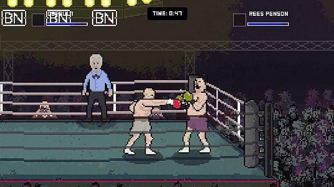 Bruisers 2D Boxing