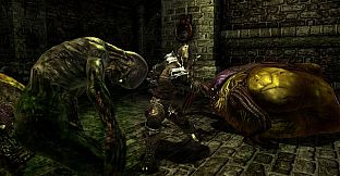 Divinity II: Developer's Cut