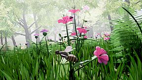 Nature And Life - Drunk On Nectar