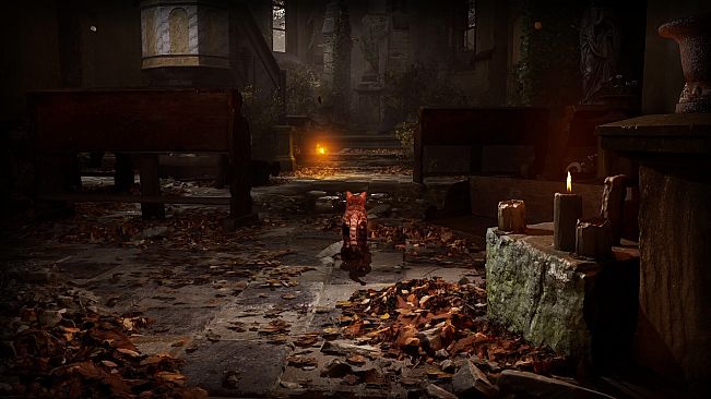 Meowmories -meowmare adventure-