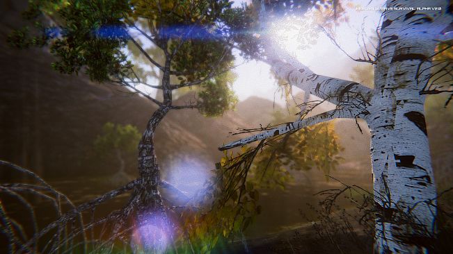 Resilience Wave Survival