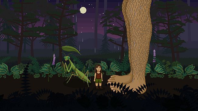 Witchhazel Woods Soundtrack