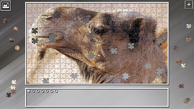 Super Jigsaw Puzzle: Generations - Desert