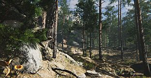 Mushroom Collector Simulator