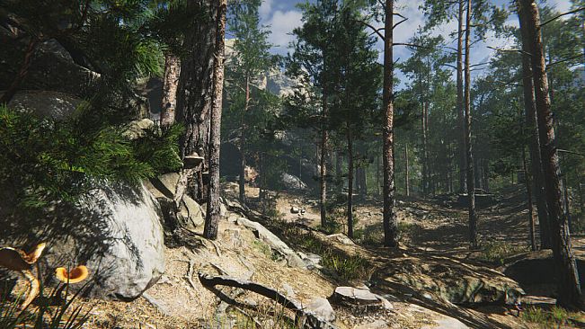 Mushroom Collector Simulator