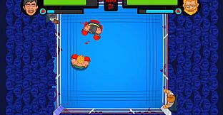 Boxing Pro Simulator