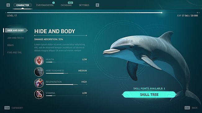 Echo: The dolphin story