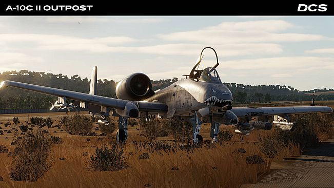 DCS: A-10C II Outpost Campaign by Stone Sky