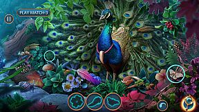 Enchanted Stories: Mystic Woods Collector's Edition