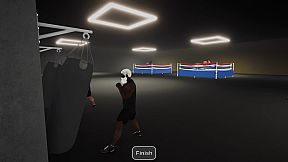 Boxing Simulator