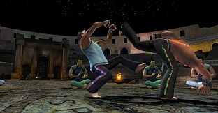 Martial Arts: Capoeira