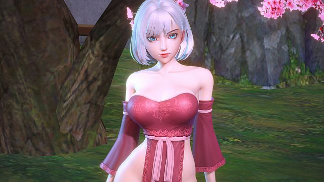 Angel Legion-DLC Draped Corsetry D