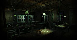 Asylum