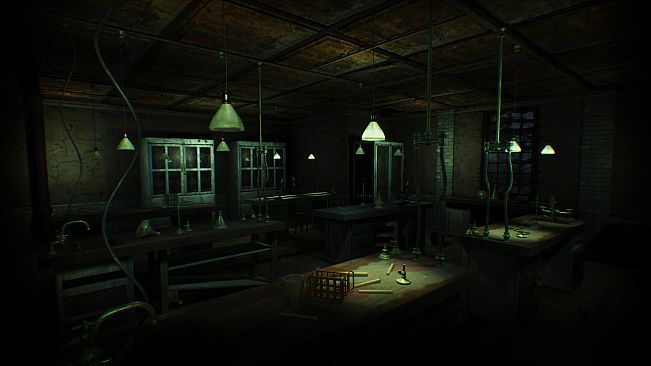 Asylum
