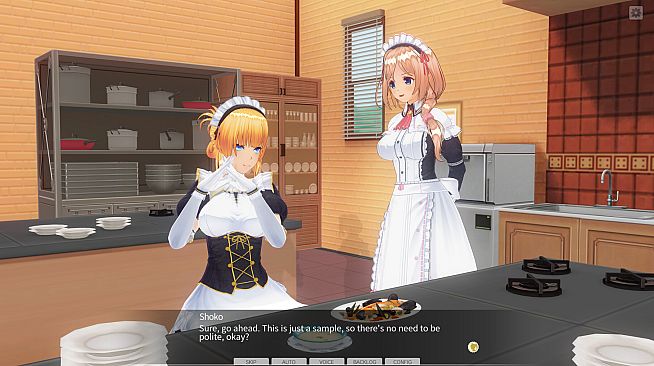 CUSTOM ORDER MAID 3D2 Sexy and Ladylike Woman GP-01