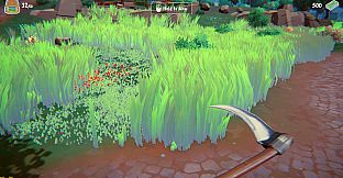 Grass and Cash