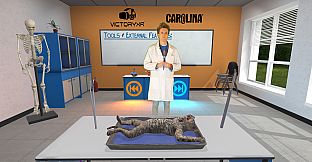 Dissection Simulator: Feline Edition